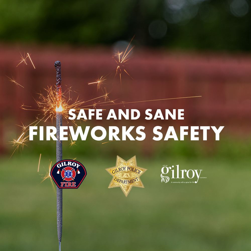 safe and sane fireworks safety