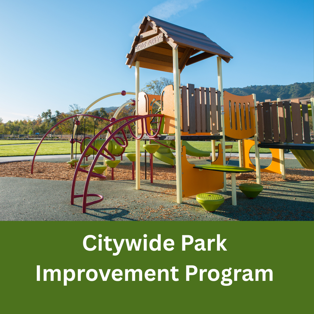 Playground structure at a city park under clear blue sky with text reading Citywide Park Improvement