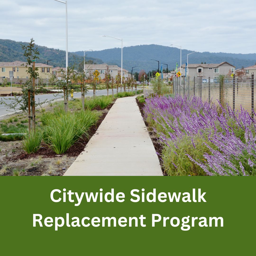 Concrete sidewalk bordered by landscaped planting beds and young trees along a residential street