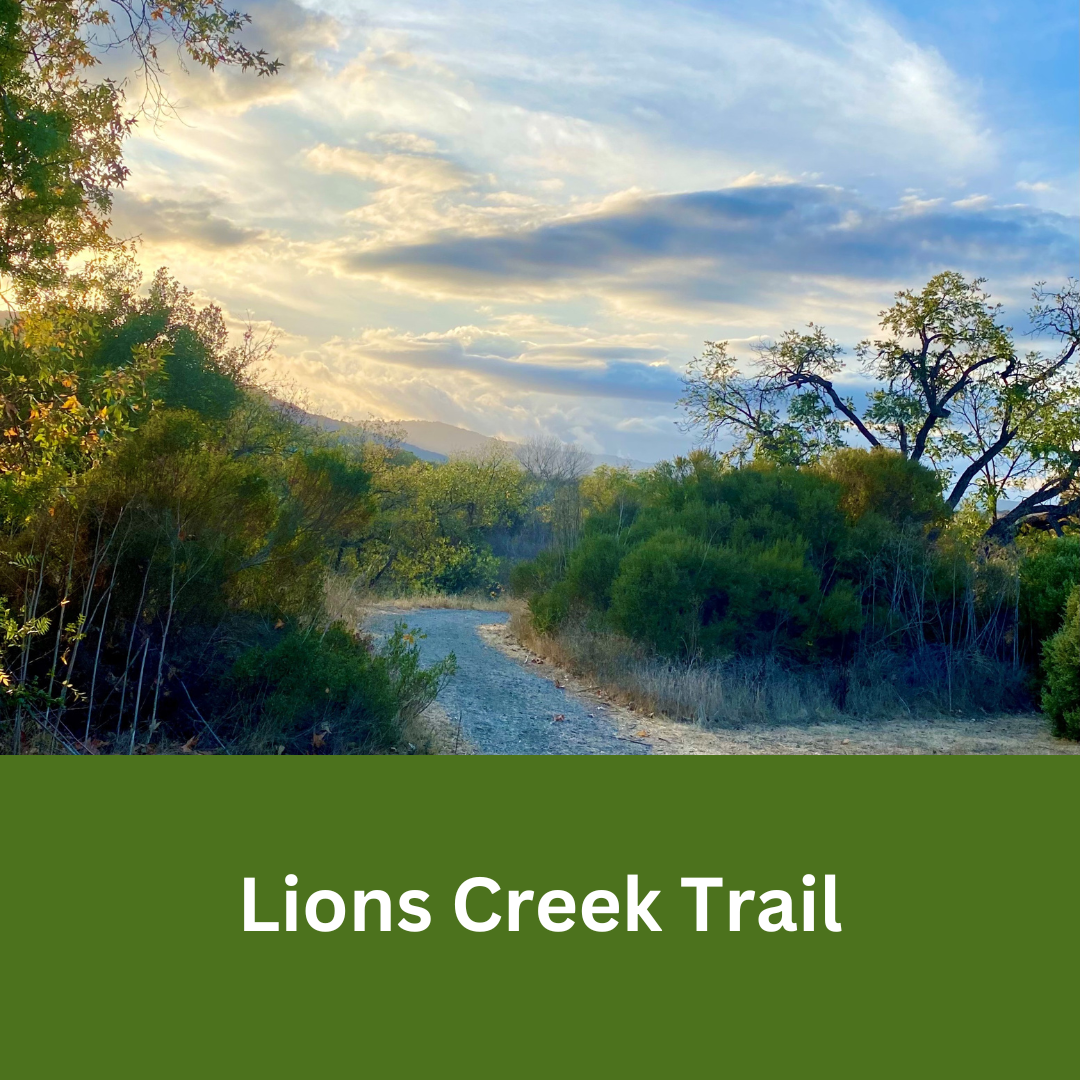 Unpaved trail winding through trees and natural vegetation at Lions Creek Trail under a cloudy sky