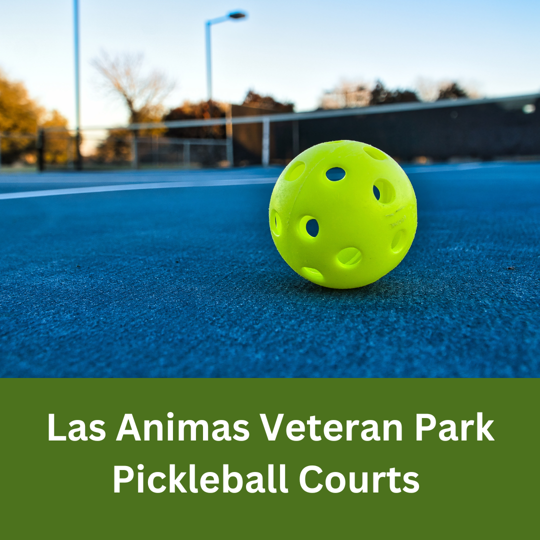 Close-up of a pickleball on a blue outdoor court at Las Animas Veteran Park.