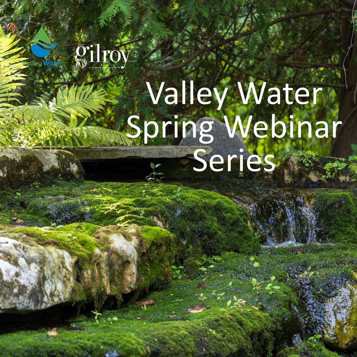 picture of a small waterfall and trees