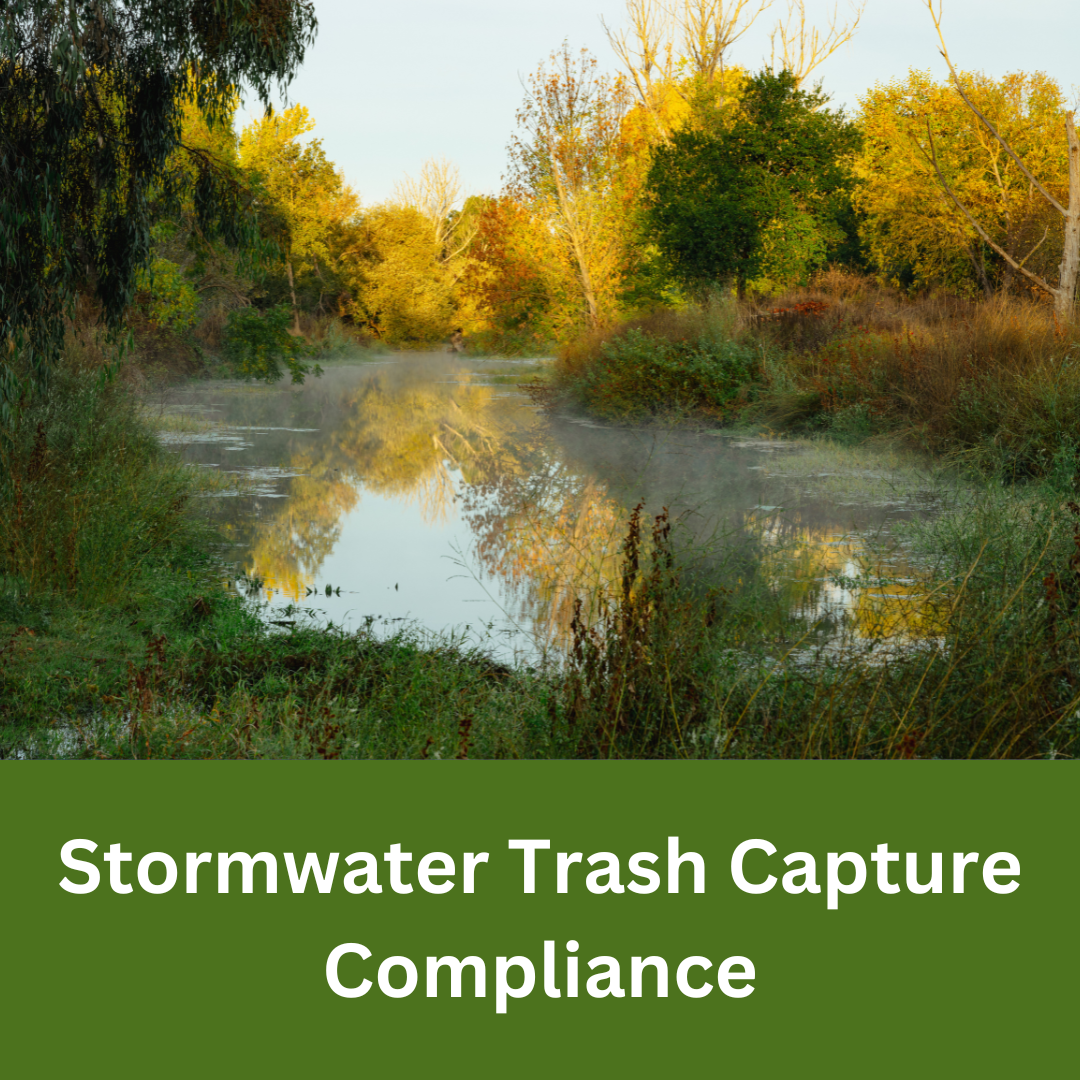 Creek surrounded by trees and vegetation with calm water reflecting the landscape