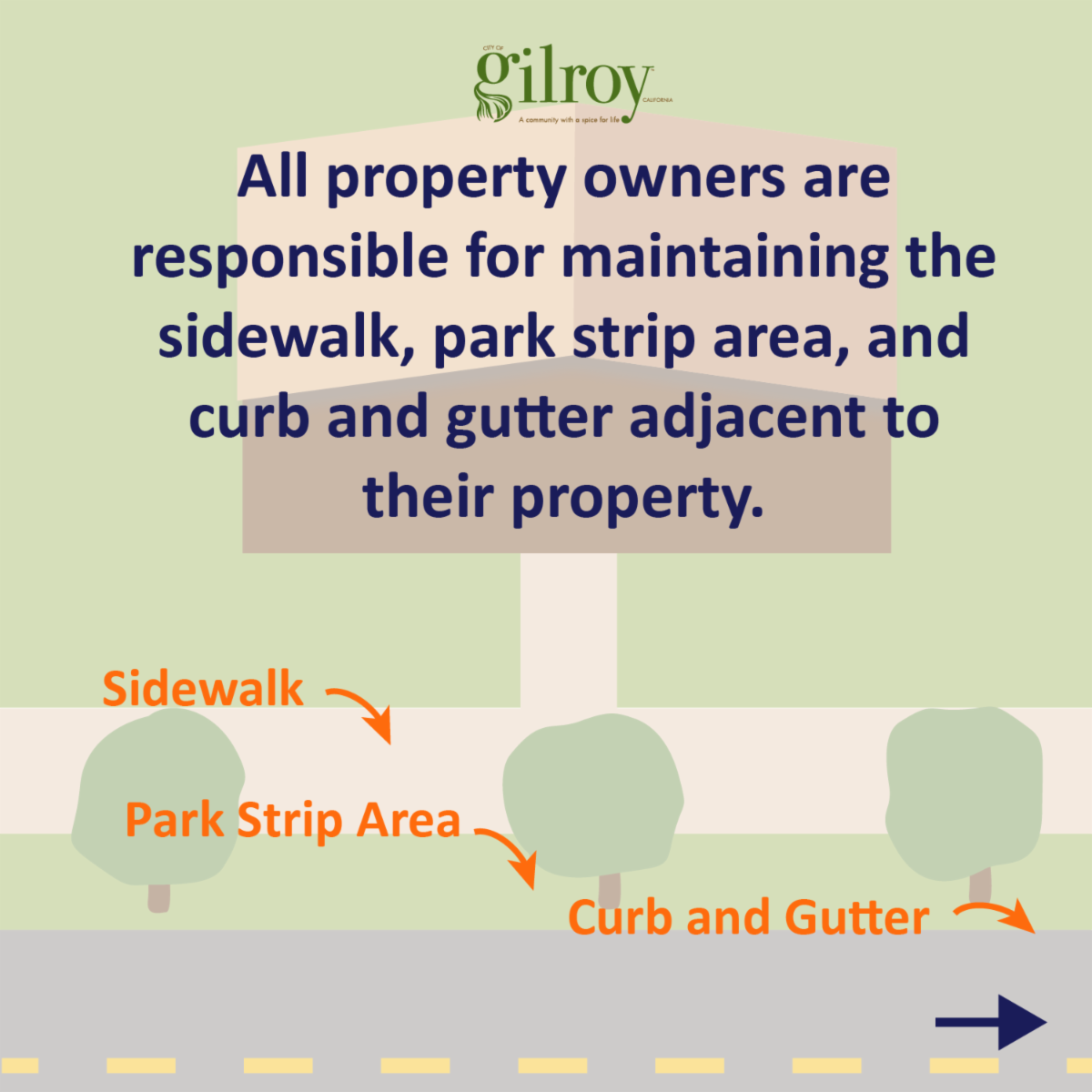 Park Strip Illustration-03