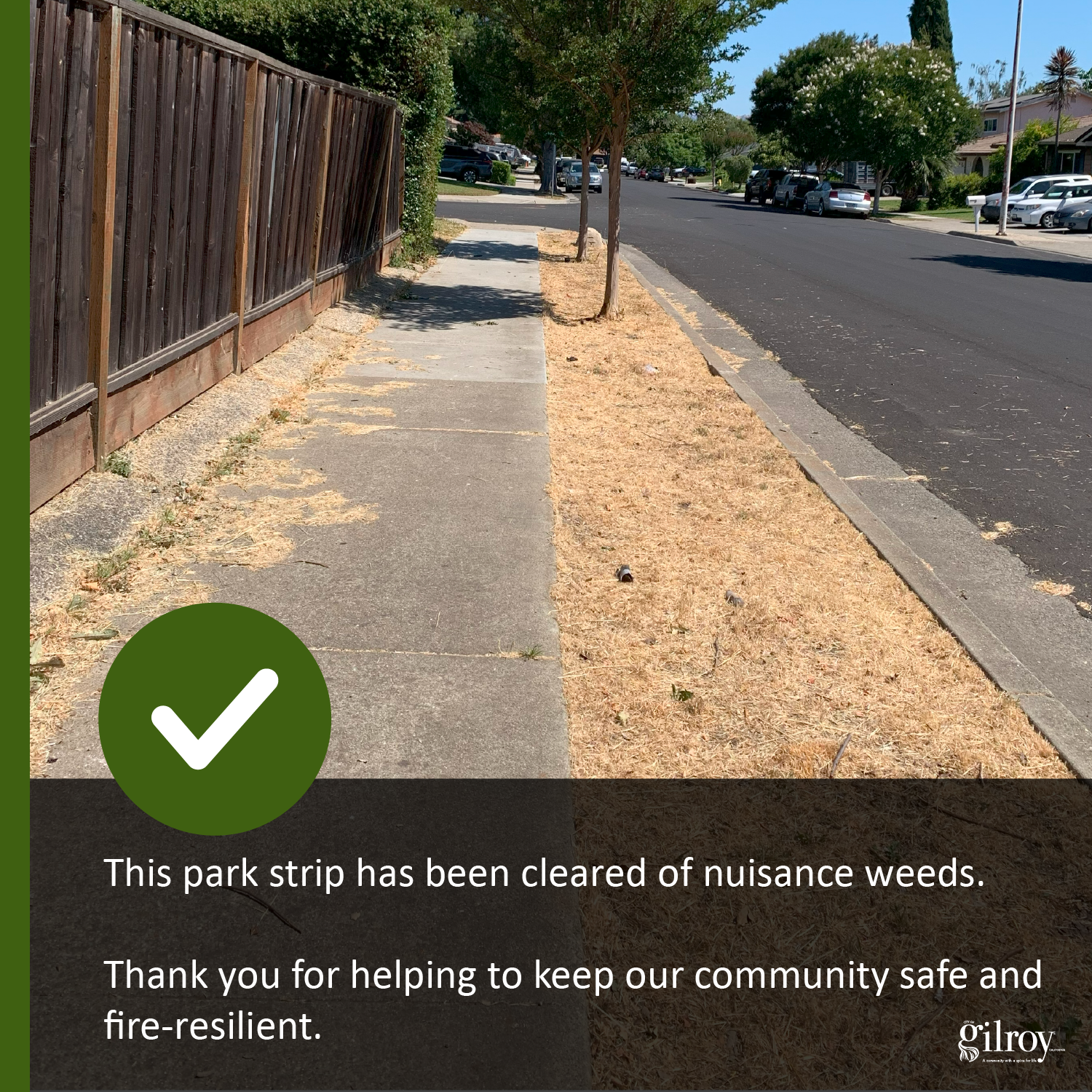 Park Strip Photo Images