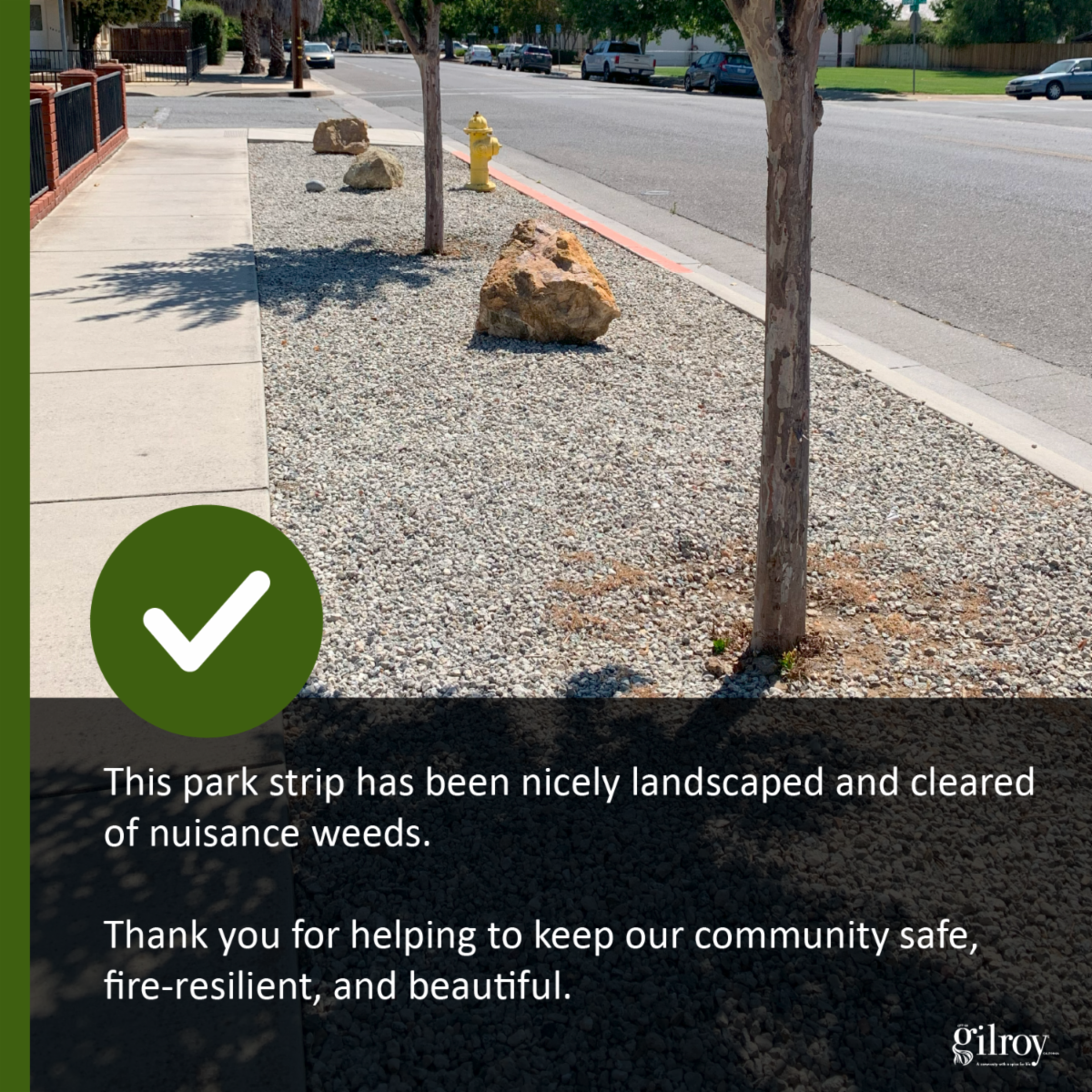 Park Strip Photo Images