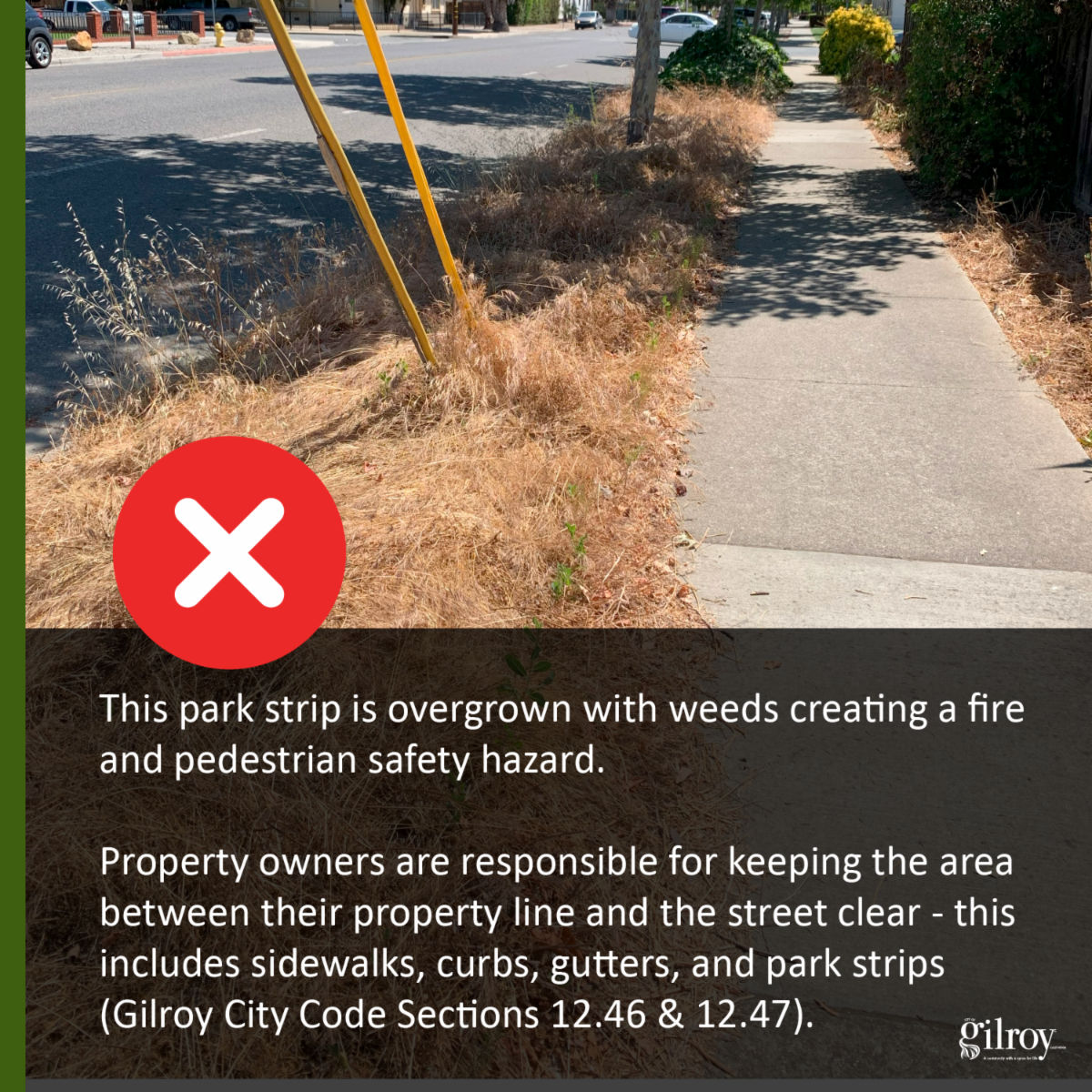 Park Strip Photo Images